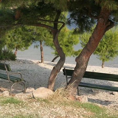 Appartement Sasa In Komarna *