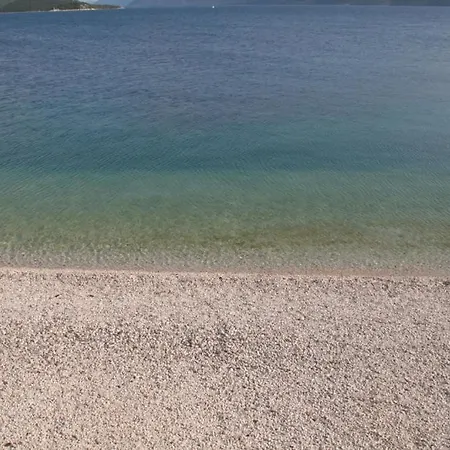 Sasa In Komarna