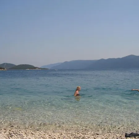 Sasa In Komarna *